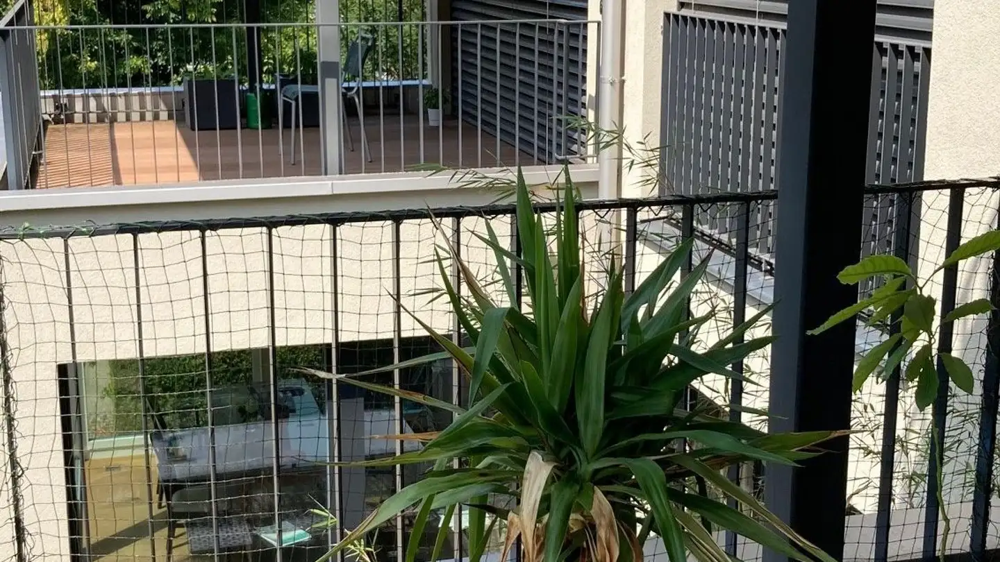 Apartment for rent - Waldstrasse 20, 8125 Zollikerberg - Photo 2