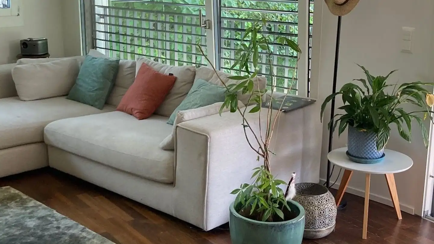 Apartment for rent - Waldstrasse 20, 8125 Zollikerberg - Photo 3