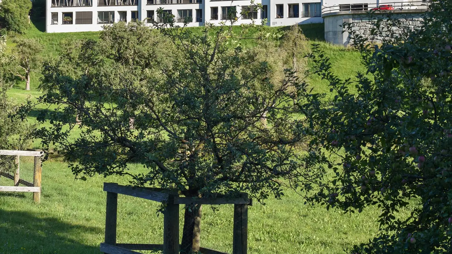 Appartamento in affitto - Bavurtga 1, 7402 Bonaduz - Foto 2