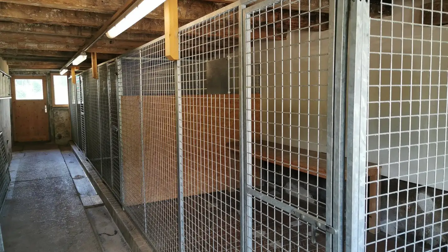 Spazio di archiviazione in affitto - Fischingerstrasse 100, 8372 Wiezikon b. Sirnach - Photo 2