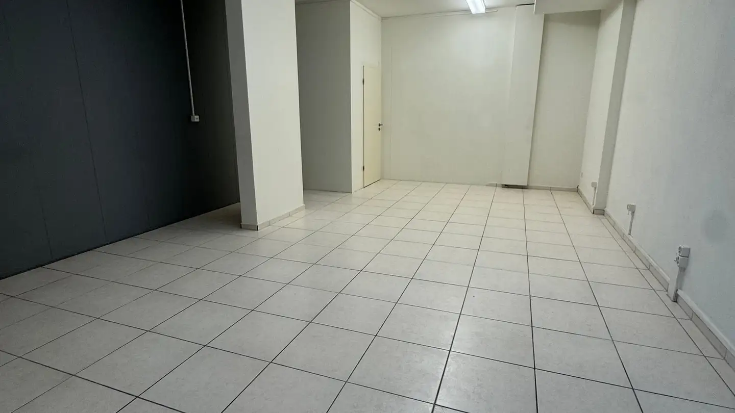 Commercial for rent - Flachsacherstrasse 3, 5242 Lupfig