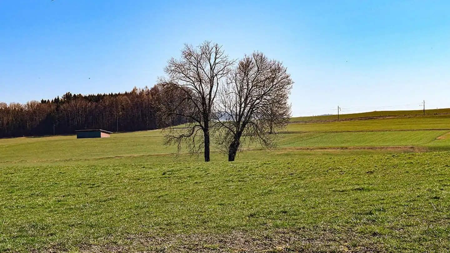 Single house for sale - 1083 Mézières VD