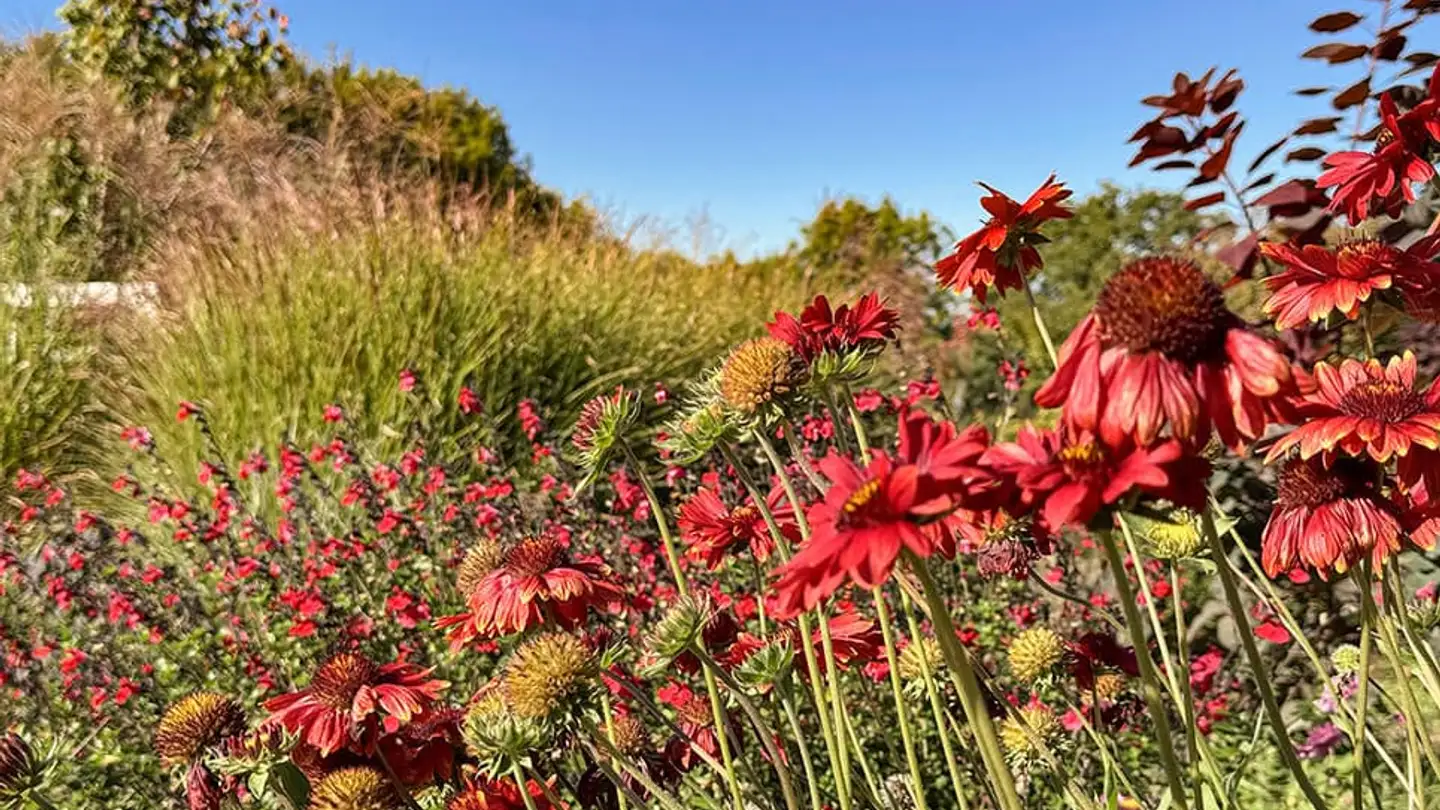 Single house for sale - 1083 Mézières VD - Photo 2