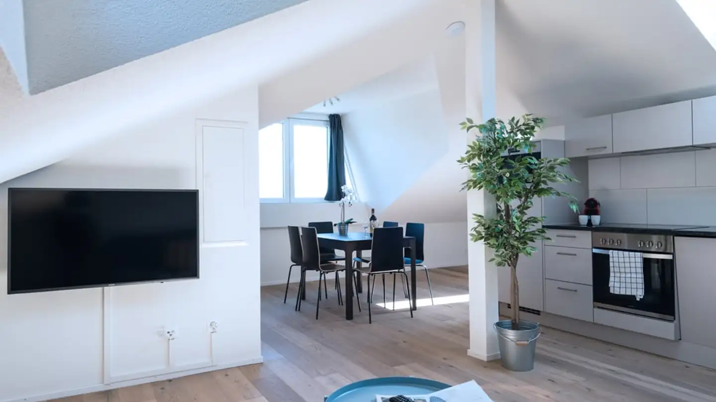 Möblierte Wohnung mieten - Birmensdorferstrasse 543, 8055 Zürich