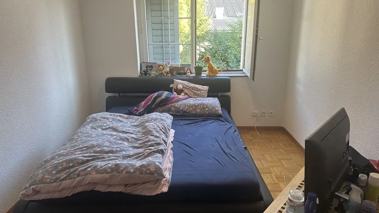 Chambre à louer - Dorfstrasse 9, 8103 Unterengstringen