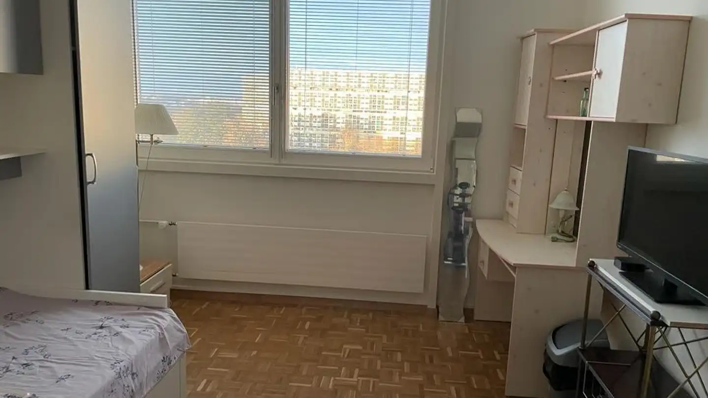 Single room for rent - Avenue Du Lignon, 1219 Le Lignon