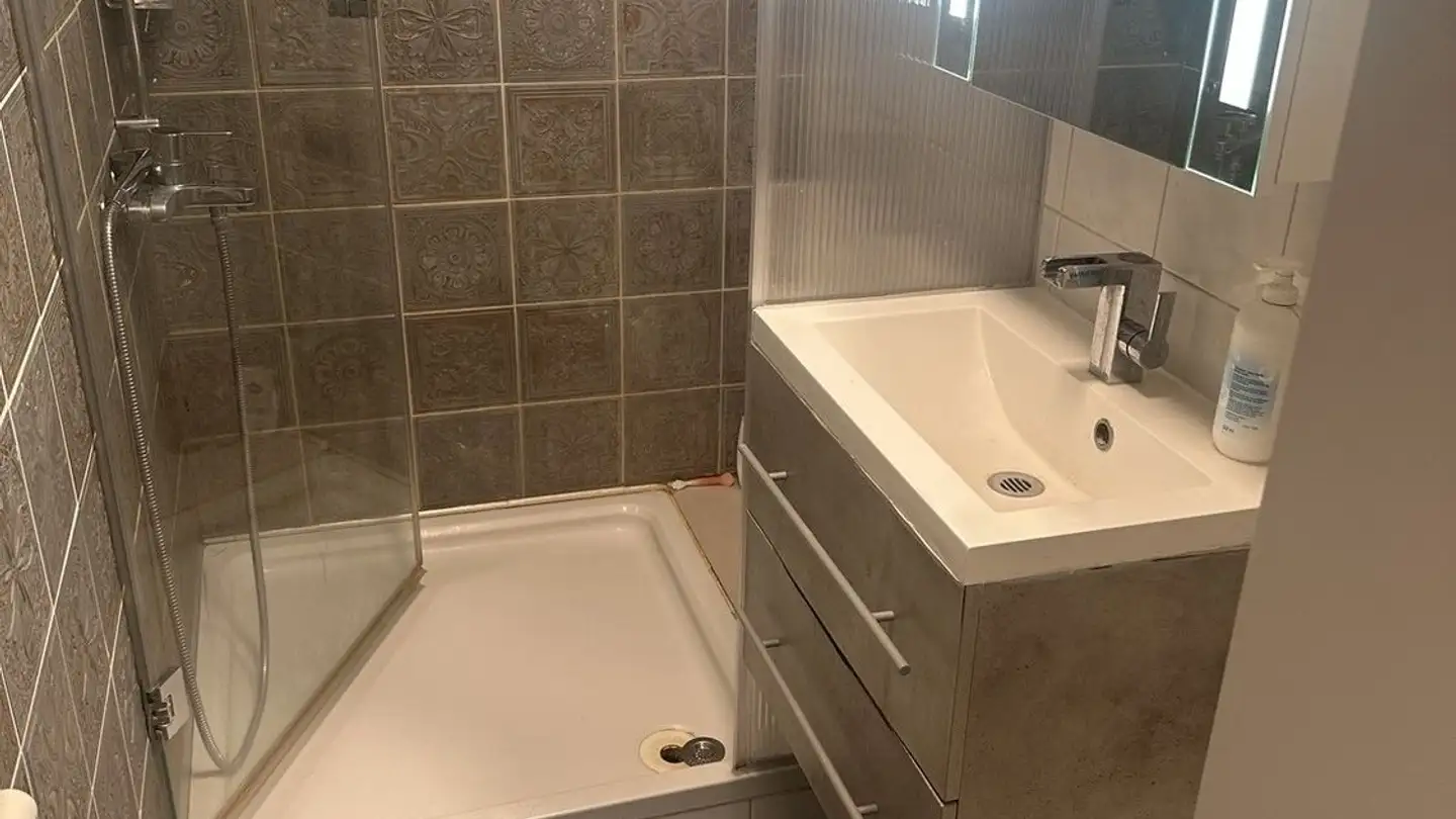 Chambre à louer - Dorfstrasse 9, 8103 Unterengstringen - Photo 4