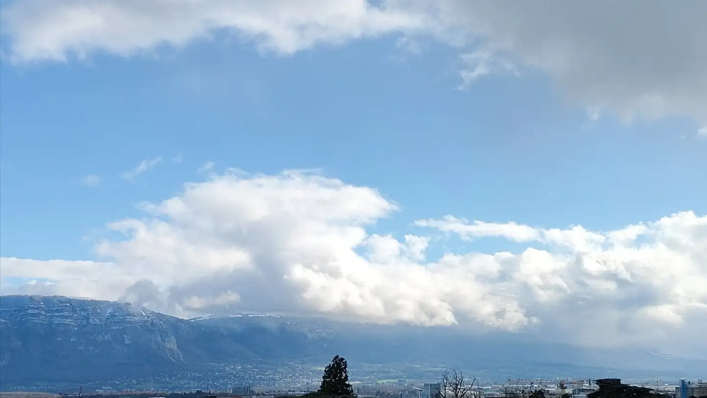Zimmer mieten - Avenue Trembley, 1209 Genève
