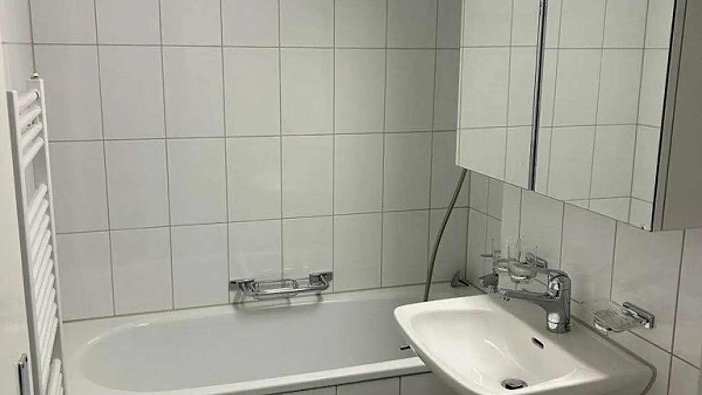 Appartement à louer - Schaufelbergerstrasse 32, 8055 Zürich - Photo 4