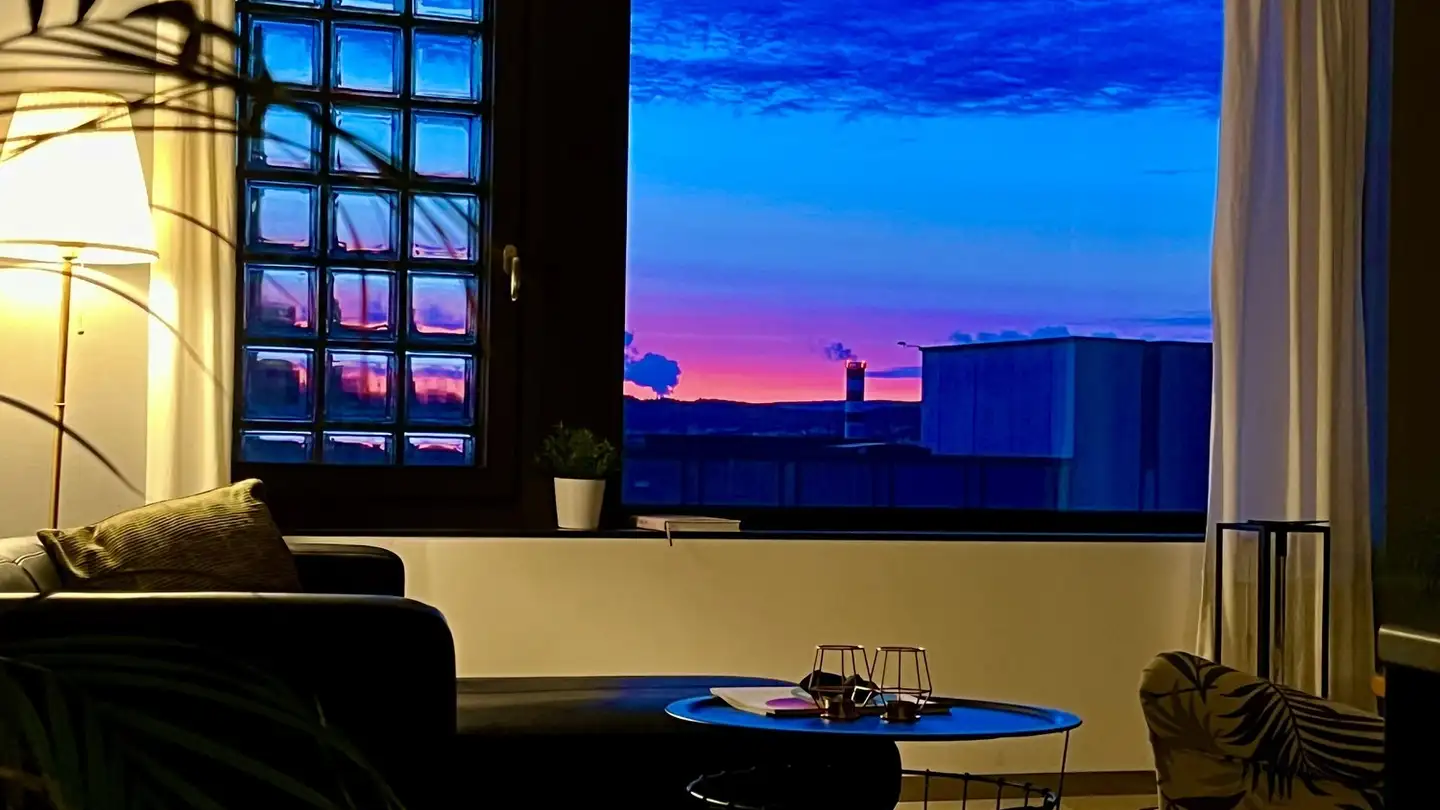 Furnished apartment for rent - Eisgasse 17, 8004 Zürich