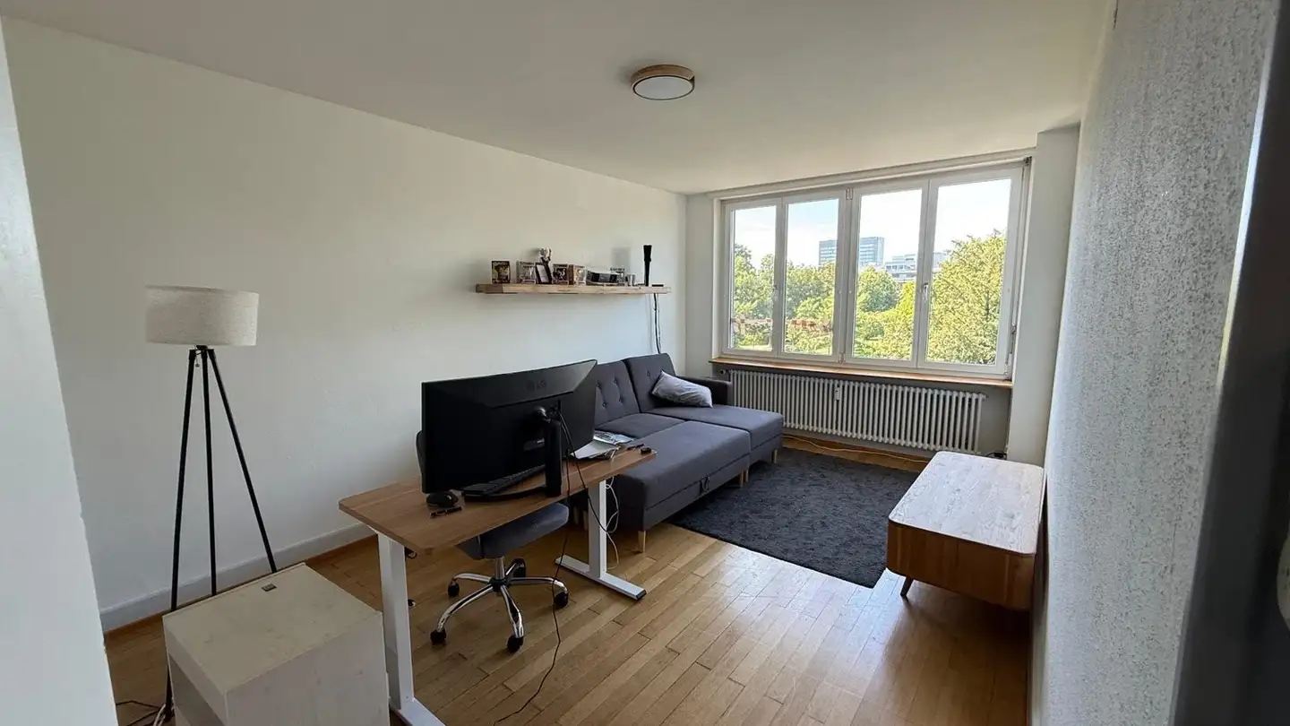 Appartamento in affitto - Wiesenschanzweg 40, 4057 Basel