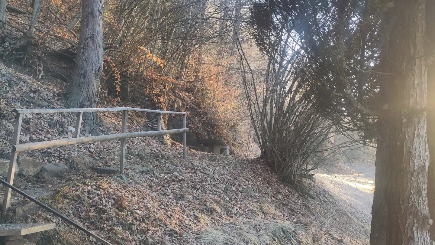 Single room for rent - 1807 Blonay