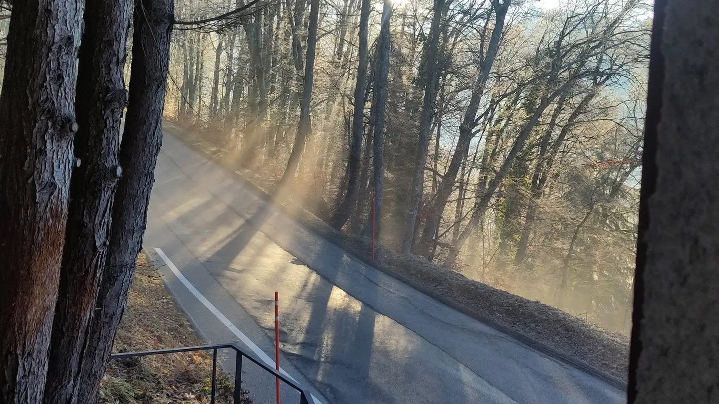 Single room for rent - 1807 Blonay - Photo 2