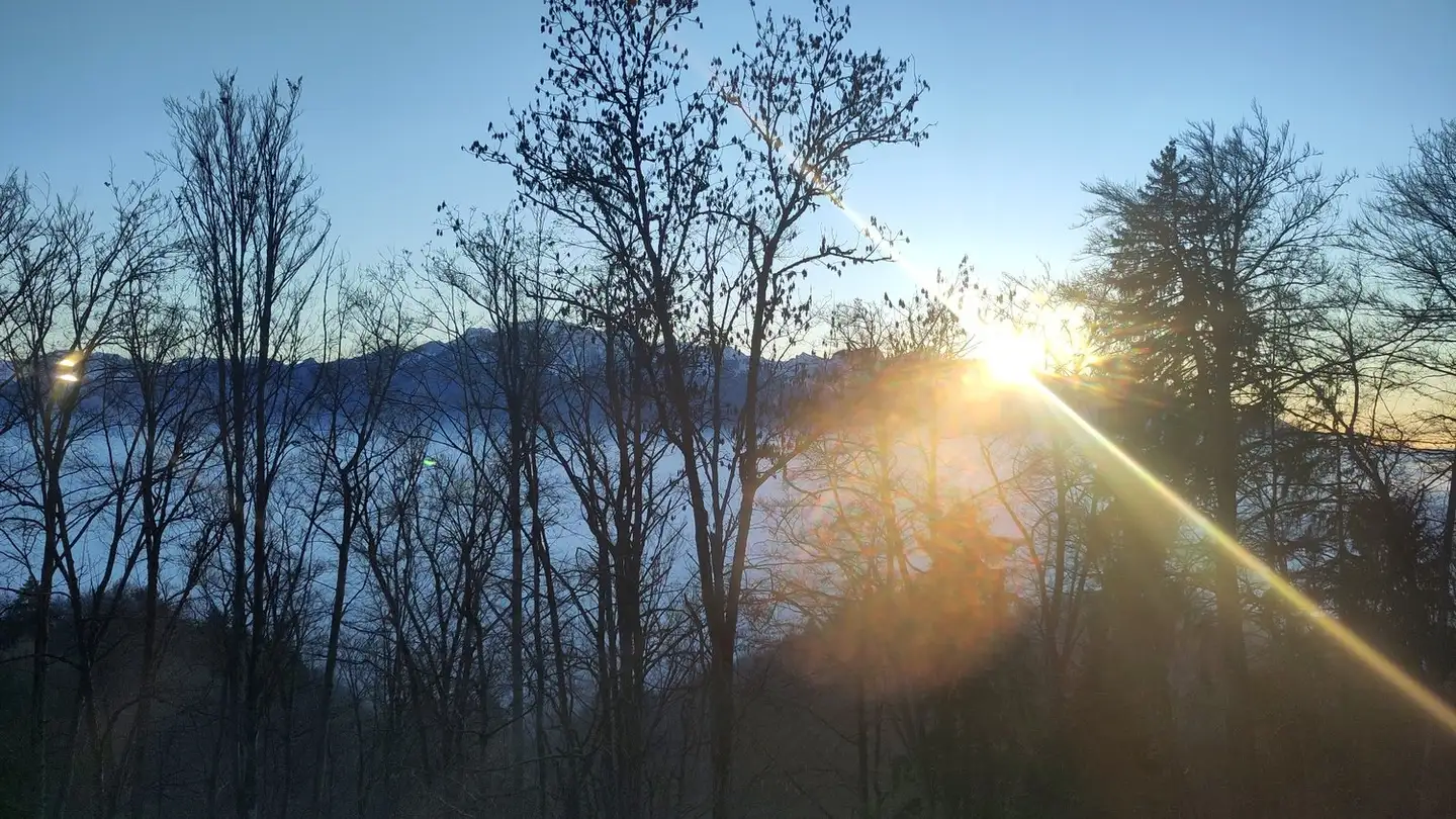 Single room for rent - 1807 Blonay - Photo 3