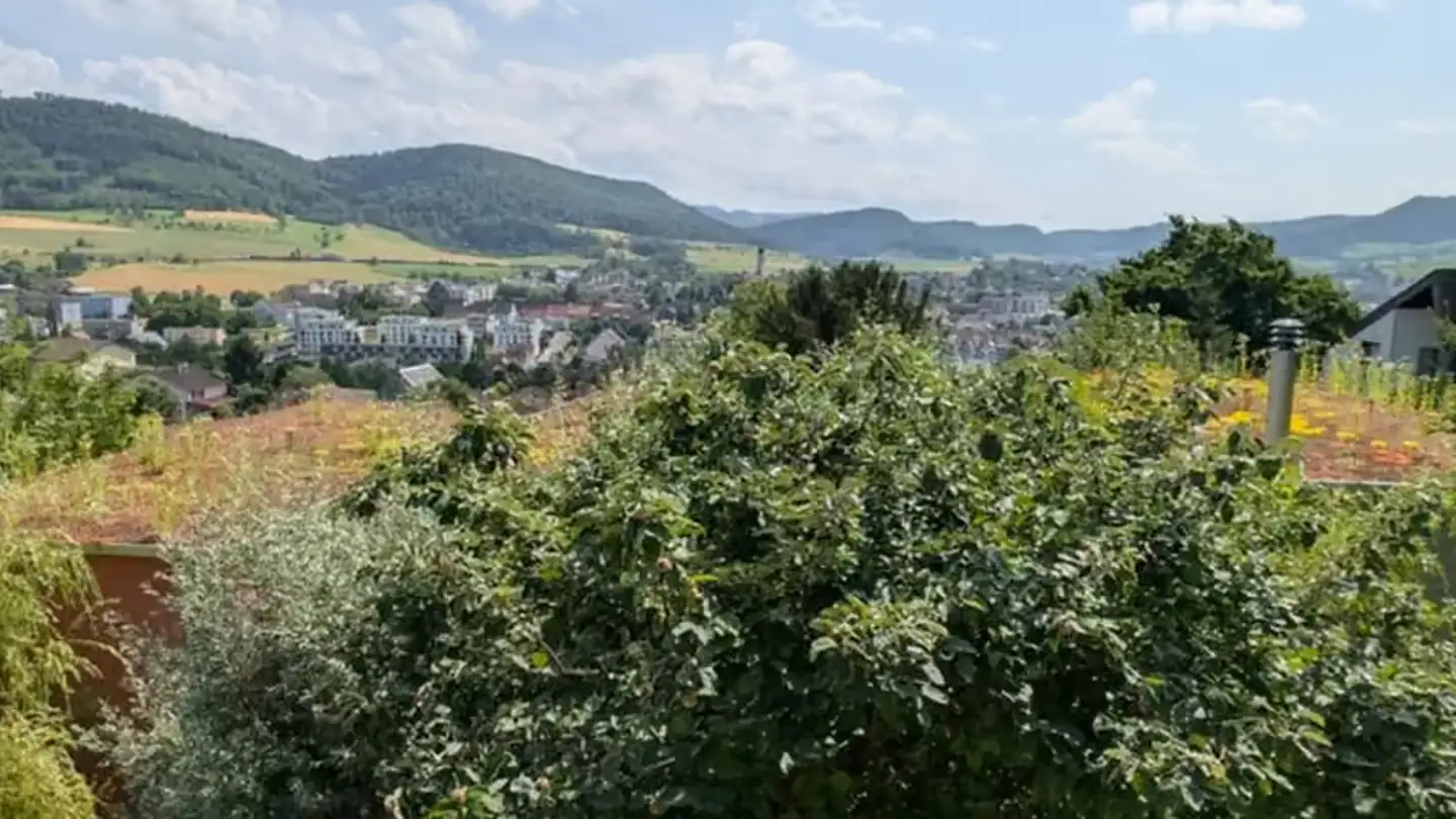 Maison individuelle à louer - Sonnhalde 9a, 5070 Frick