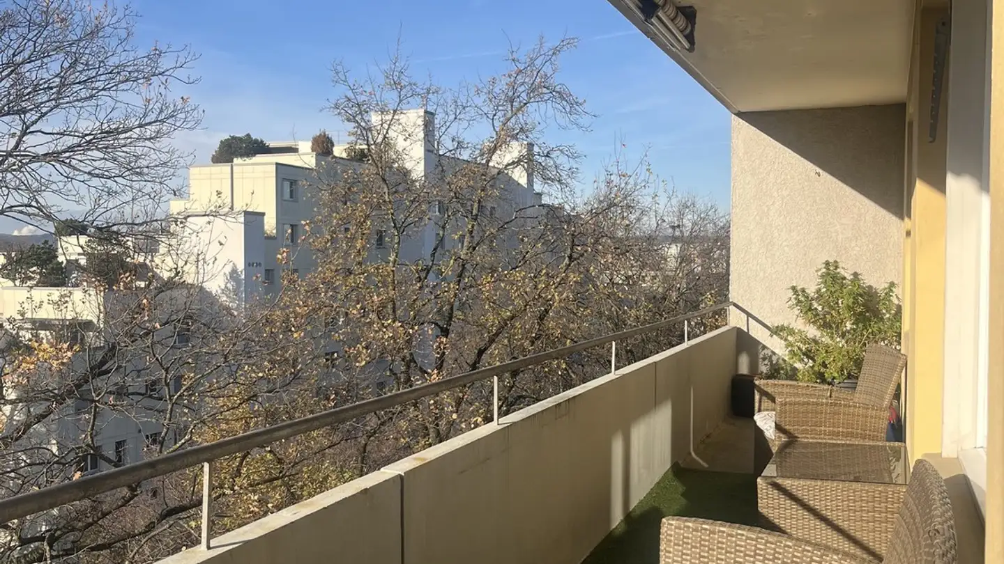 Chambre à louer - Schaufelbergerstrasse, 8055 Zürich - Photo 2