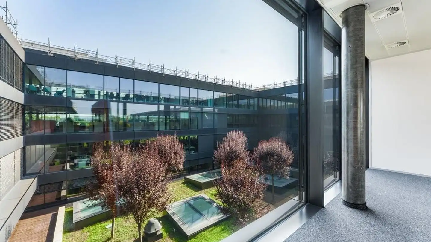 Spazio ufficio in affitto - Chemin Du Château-Bloch 11, 1219 Le Lignon - Foto 3