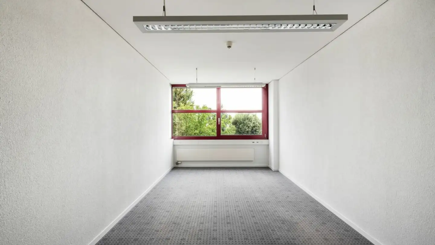 Bureau à louer - Hauptstrasse 104, 9422 Staad SG