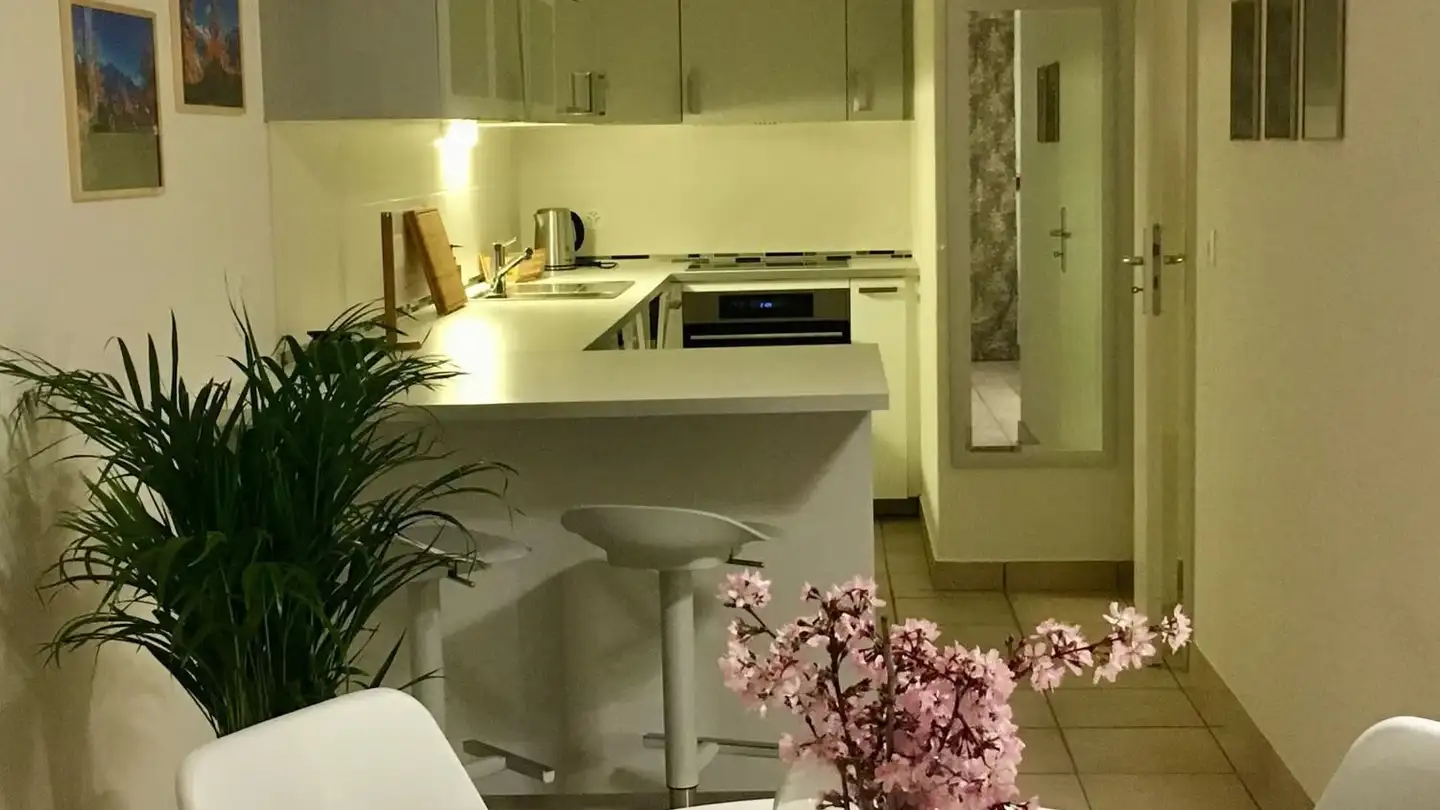Studio in affitto - Route Du Prey 57, 1614 Granges (Veveyse) - Foto 3