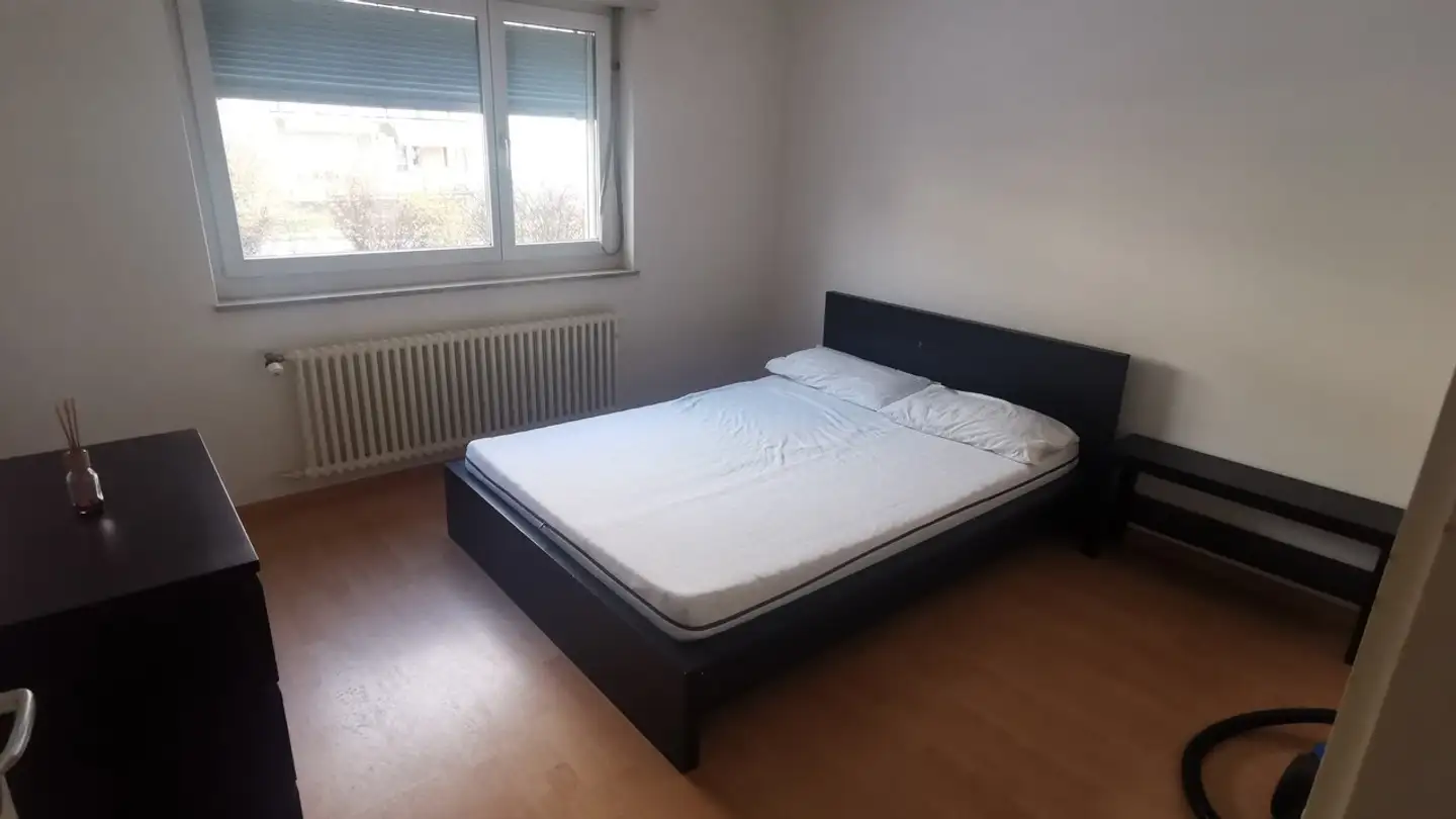Chambre à louer - 8051 Zürich