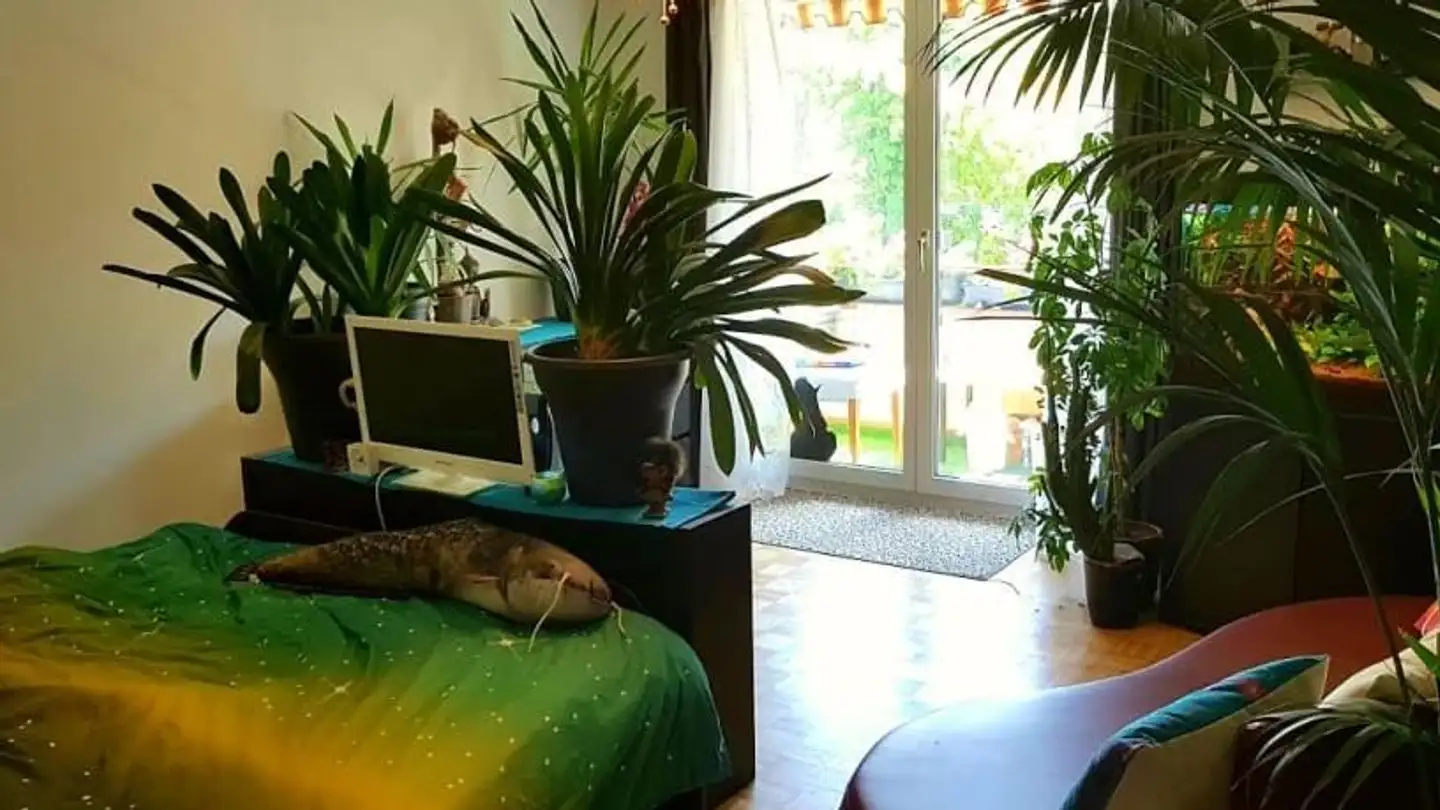 Appartement à louer - Bottmingerstrasse 34, 4142 Münchenstein - Photo 2