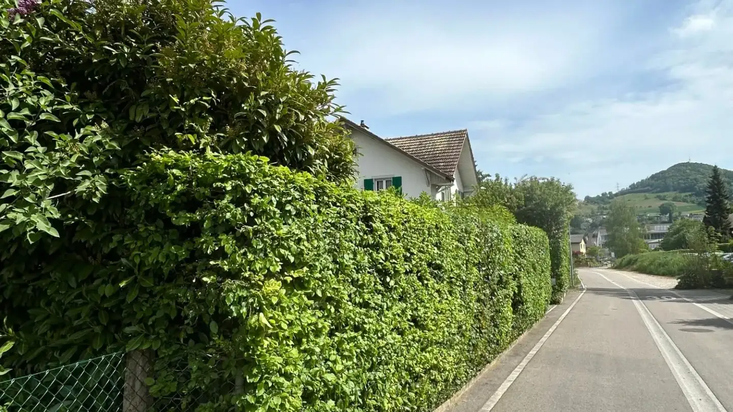 Maison individuelle à vendre - Zwidellen 16, 5070 Frick - Photo 3
