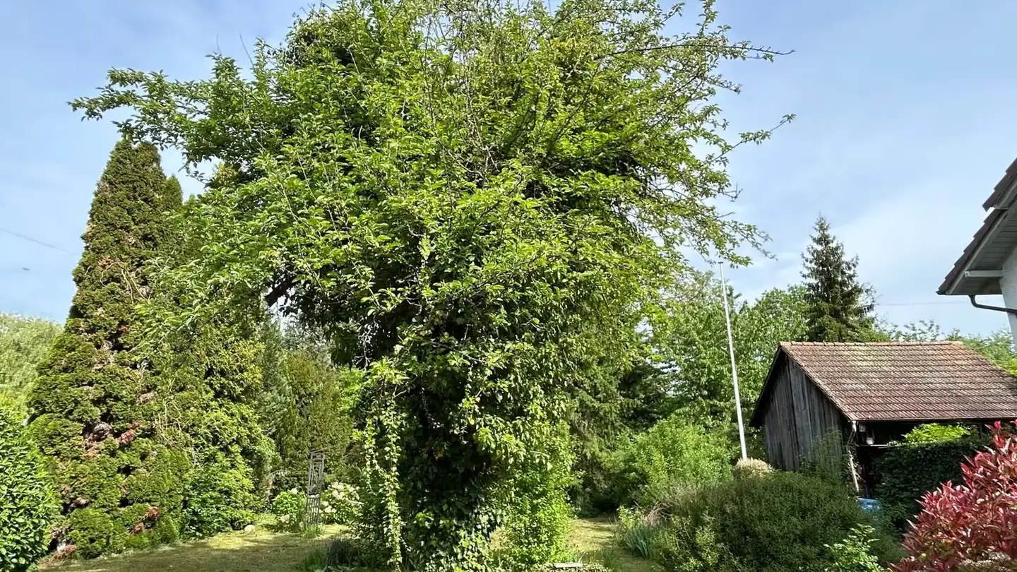 Maison individuelle à vendre - Zwidellen 16, 5070 Frick - Photo 4