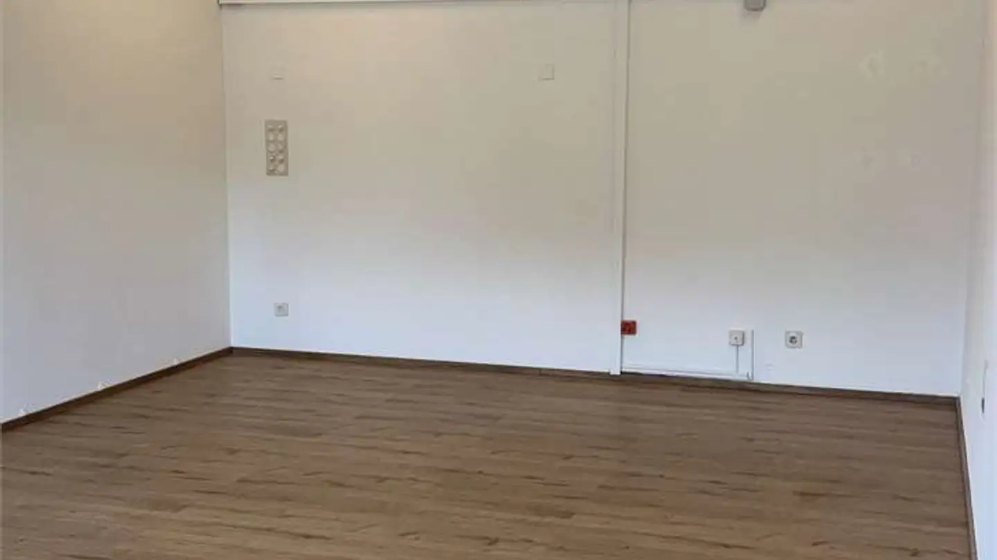 Laboratory for rent - 6596 Gordola