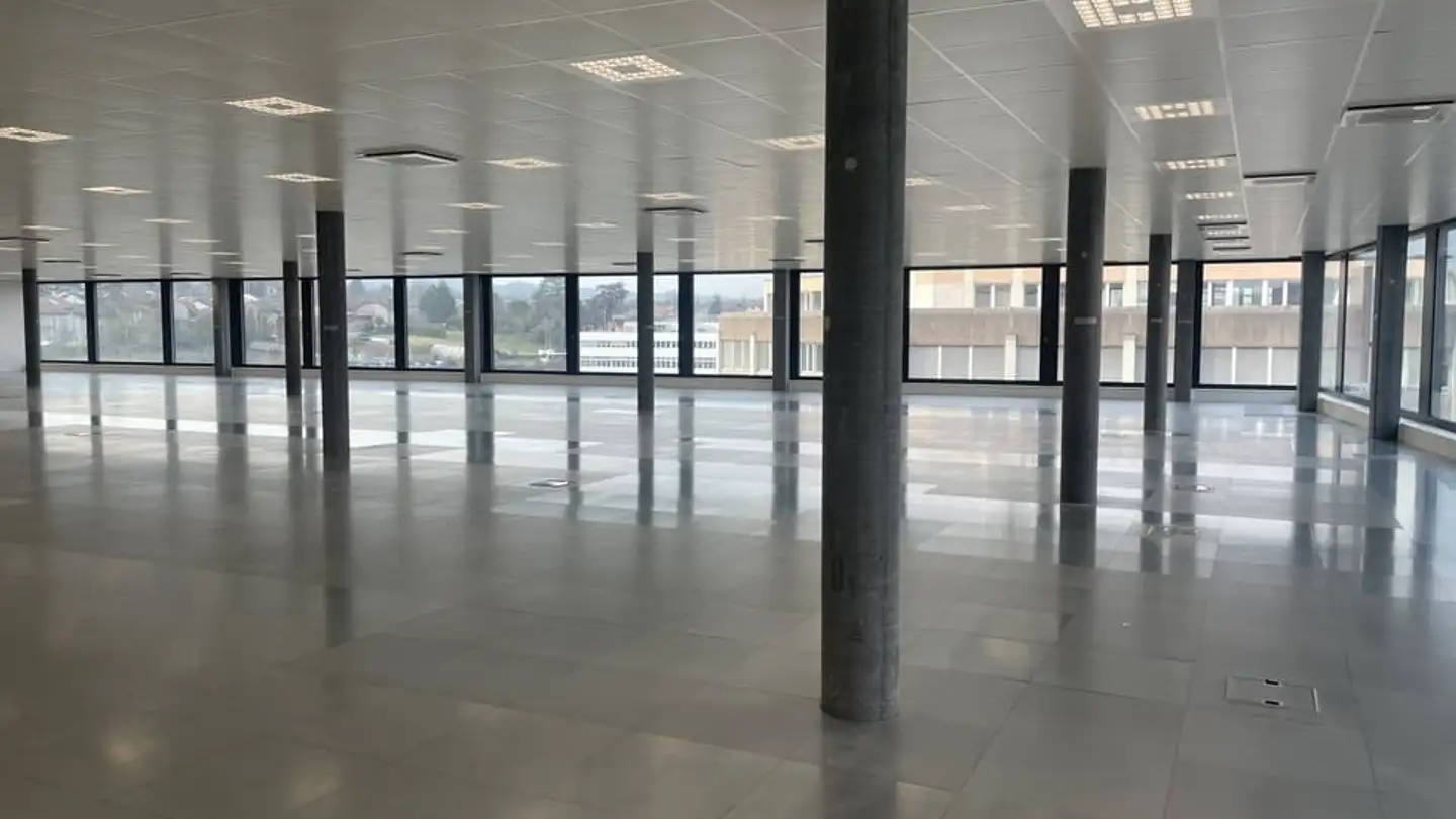 Commercial à louer - Chemin Du Pré Fleuri 15, 1228 Plan-les-Ouates - Photo 3