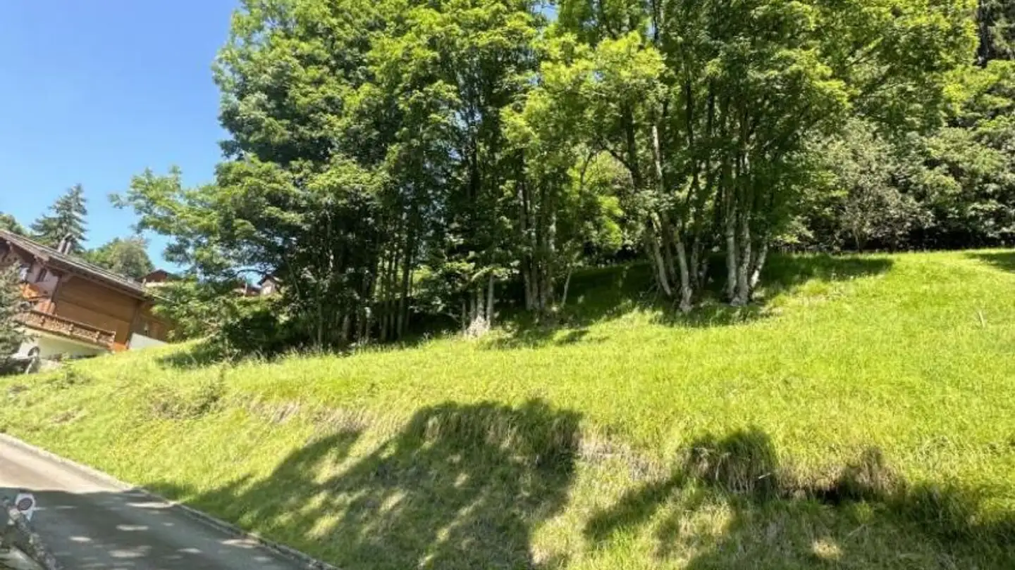 Constructible plot for sale - 1885 Chesières - Photo 2