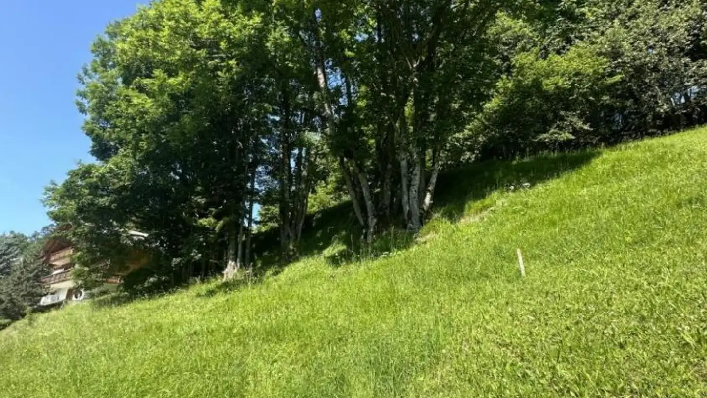 Constructible plot for sale - 1885 Chesières - Photo 4