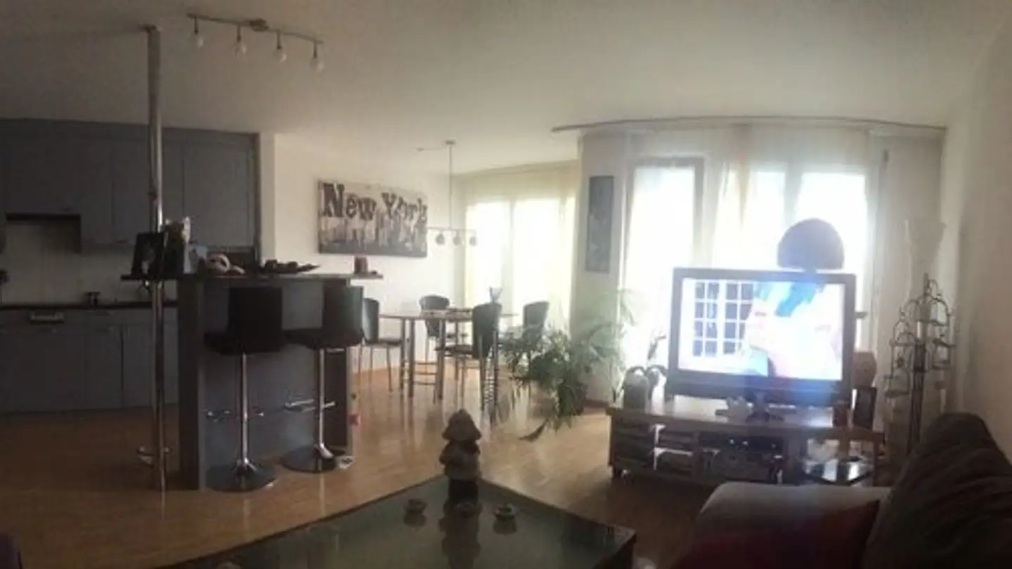 Appartamento in affitto - Wässerwiesenstrasse 79b, 8408 Winterthur - Foto 4