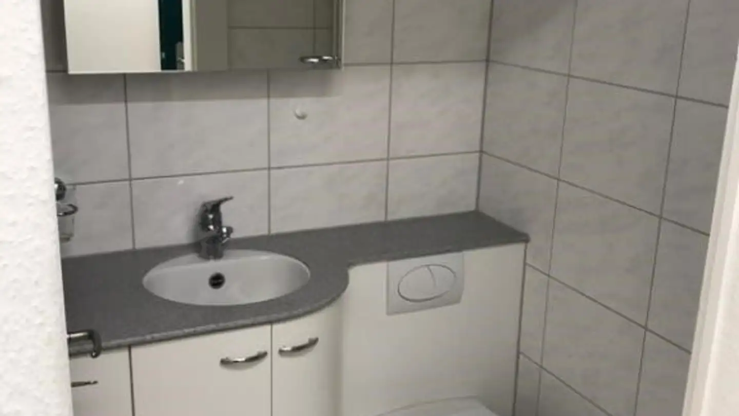 Chambre à louer - Rietholzstrasse 47, 8125 Zollikerberg - Photo 3