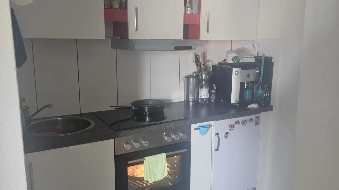 Appartement à louer - Fulachstrasse 175, 8200 Schaffhausen - Photo 2