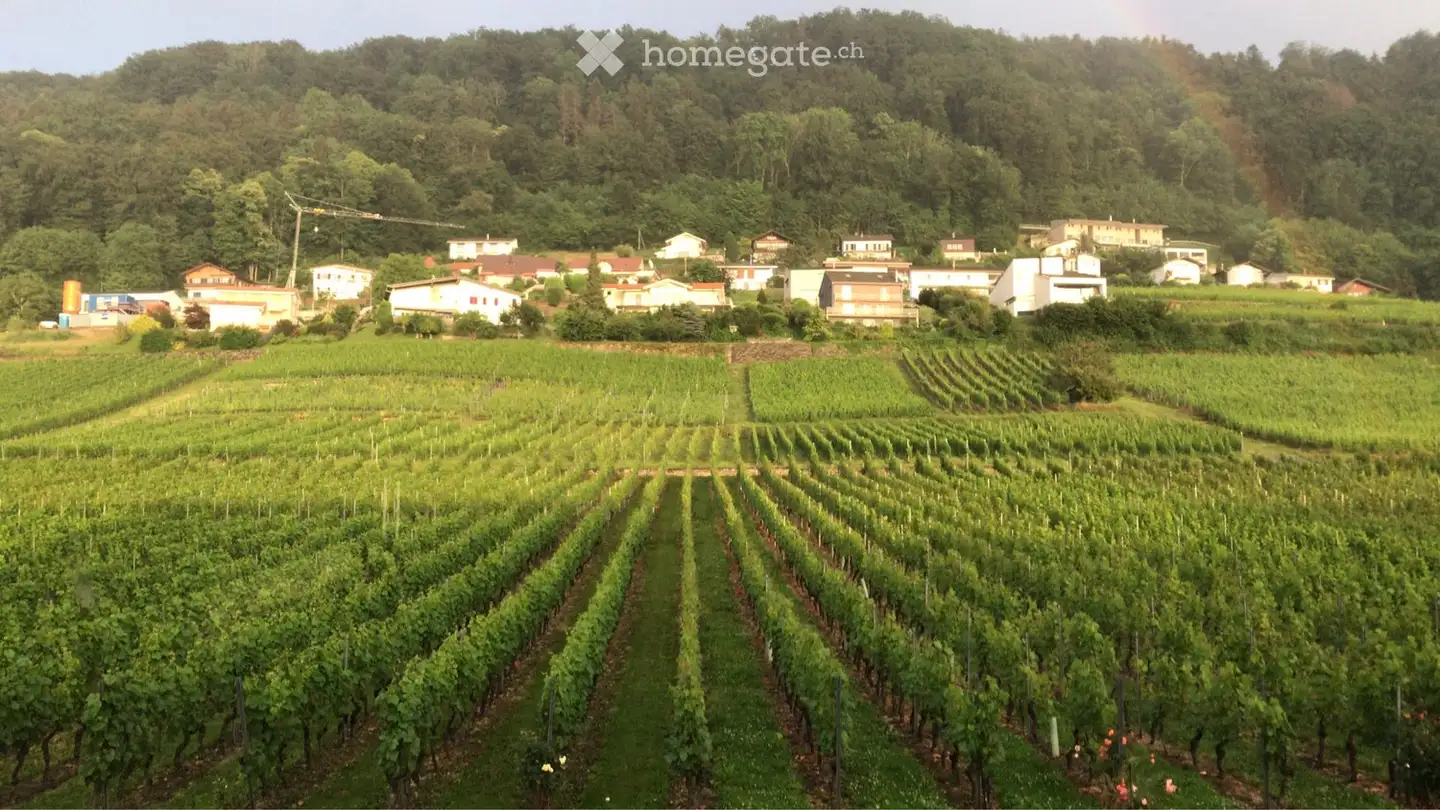 Appartamento in affitto - Chemin de la Condémine, 1468 Cheyres - Foto 2
