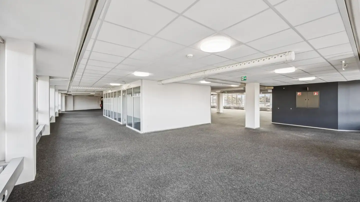 Bürofläche mieten - Dammweg 9, 3013 Bern - Foto 4