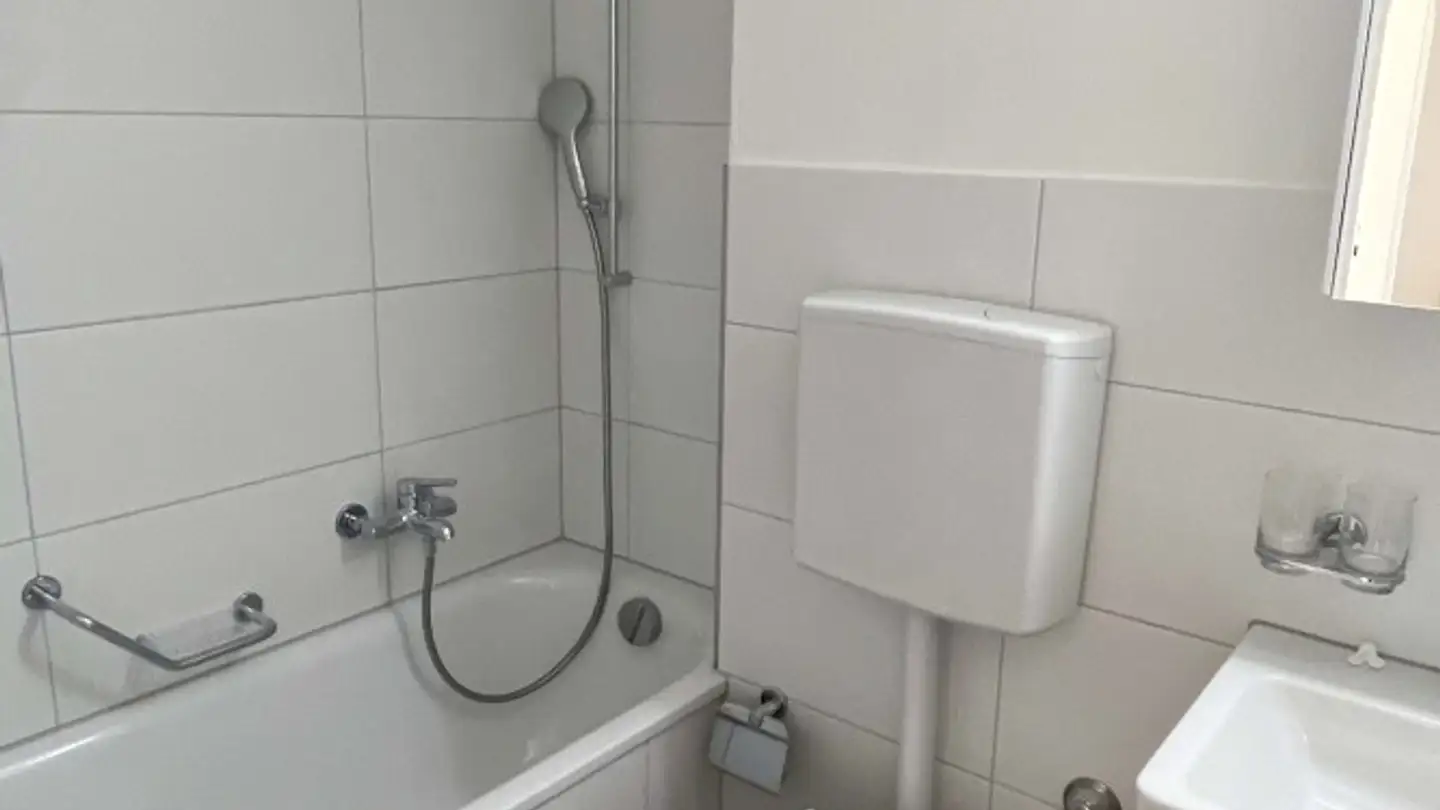 Wohnung mieten - Hauptstrasse 116, 4102 Binningen - Foto 4