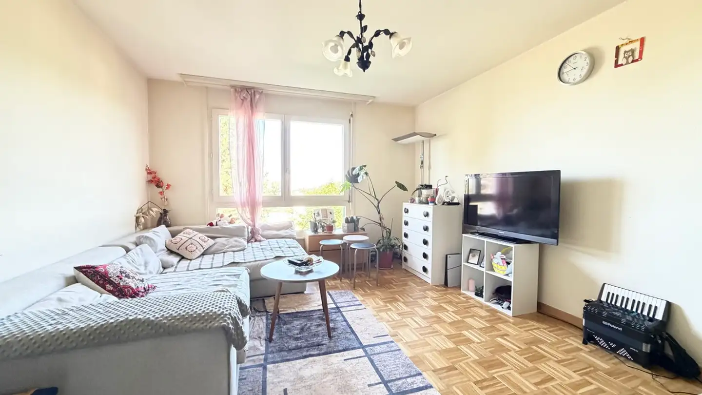 Appartamento in vendita - Route D'arnier 8, 1092 Belmont-sur-Lausanne - Foto 2