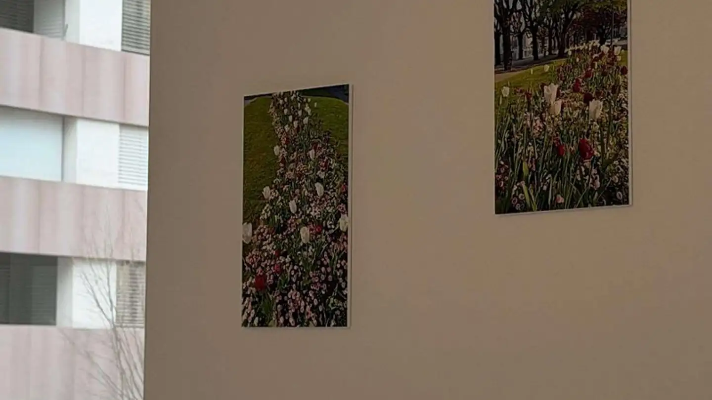 Appartamento ammobiliato in affitto - Via Geretta, 6900 Paradiso - Foto 3