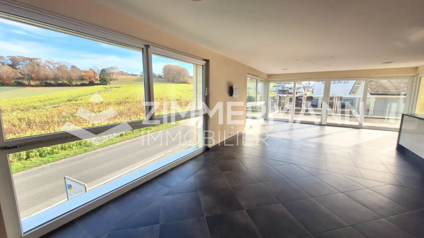 Stepped apartment for rent - Route De Romanel 11, 1121 Bremblens - Photo 2