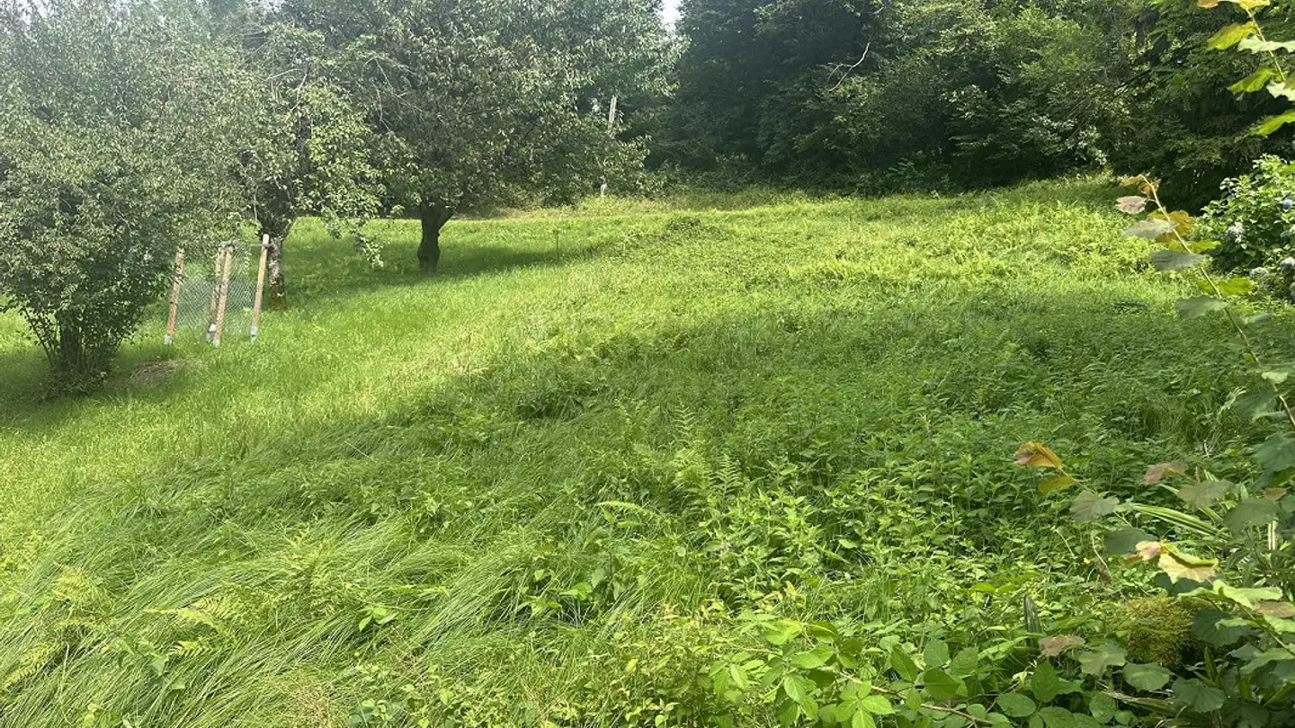 Constructible plot for sale - 6593 Cadenazzo - Photo 4