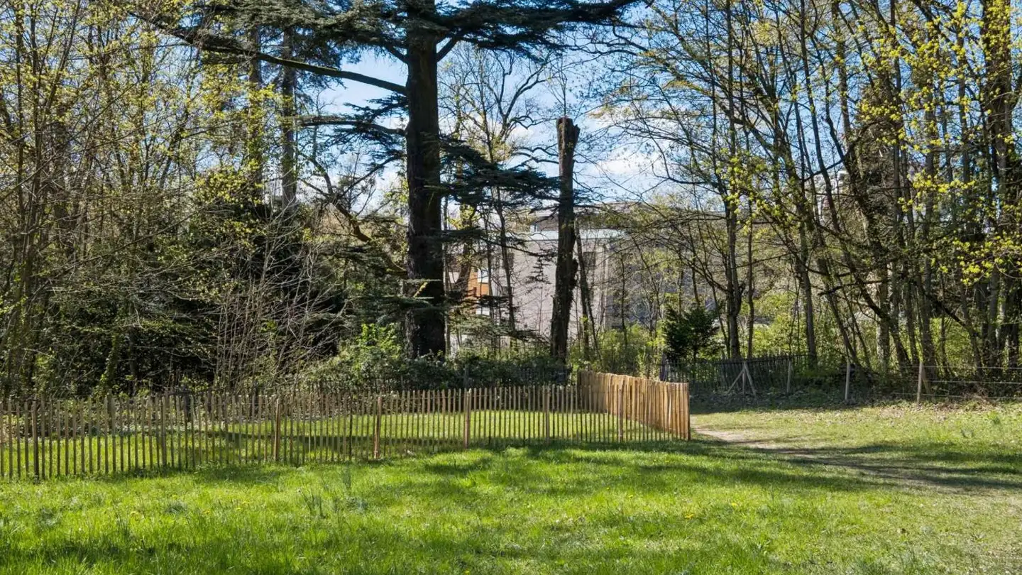 Attique à vendre - 1213 Petit-Lancy - Photo 2