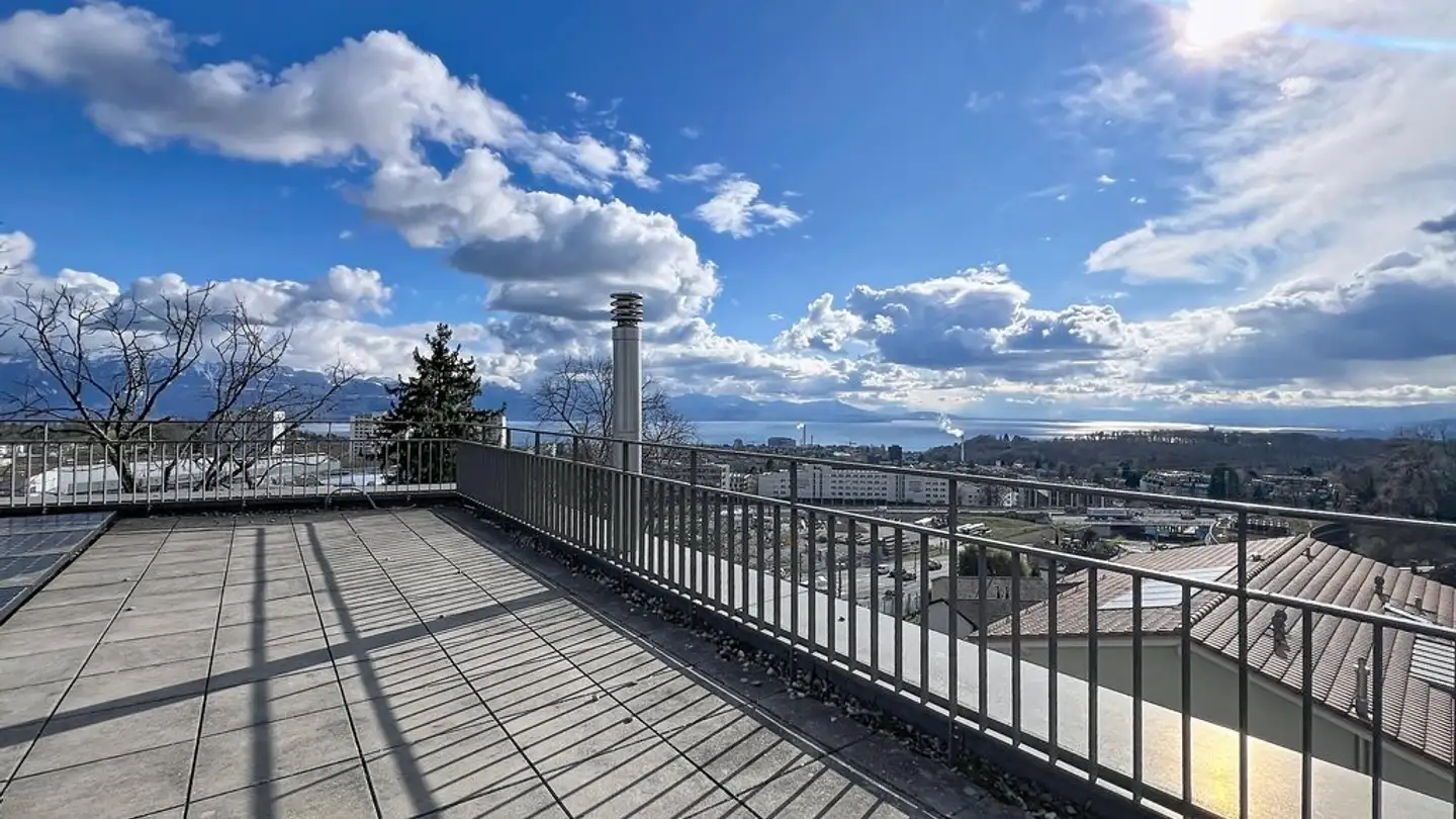 Appartement à louer - Chemin Des Roches 14, 1010 Lausanne