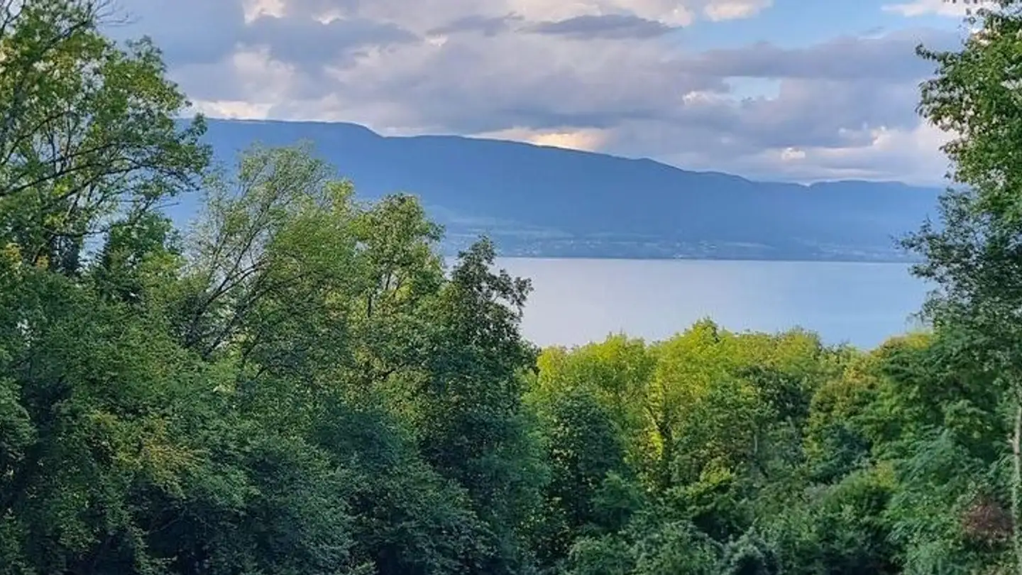 Casa singola in vendita - La Condémine, 1474 Châbles FR - Photo 2