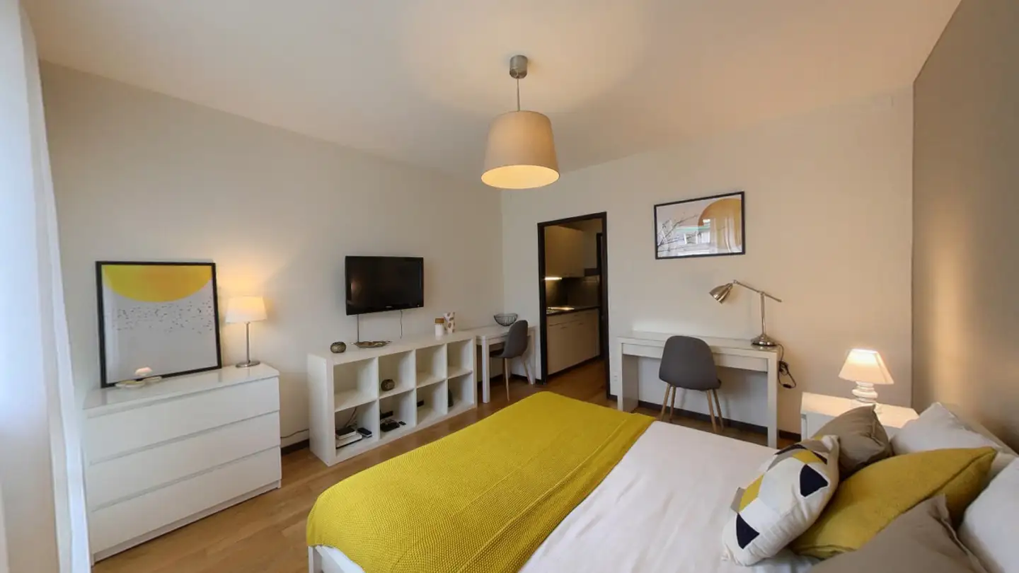 Appartement meublé à louer - Rue Goetz-Monin 24, 1205 Genève - Photo 2