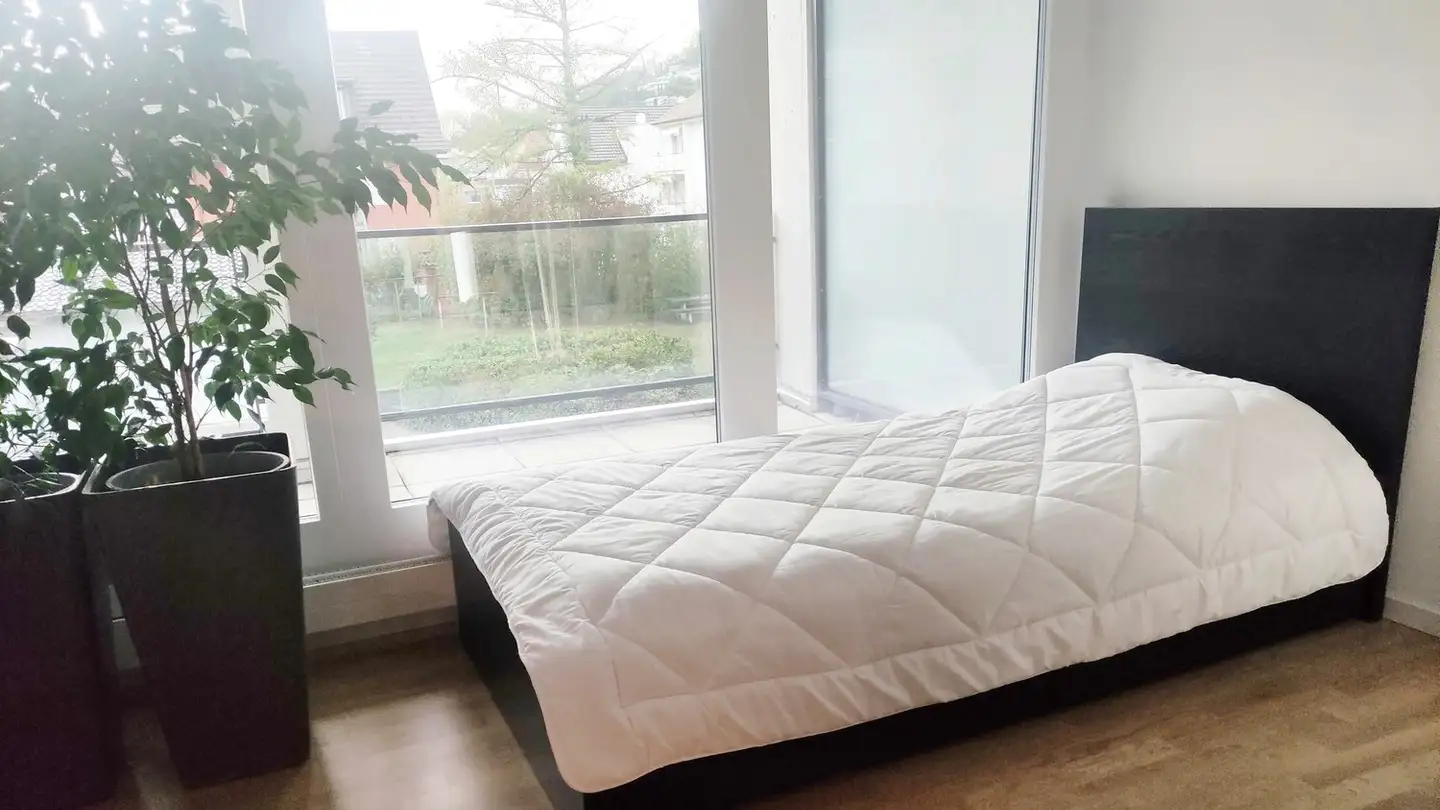 Appartamento in affitto - 5430 Wettingen
