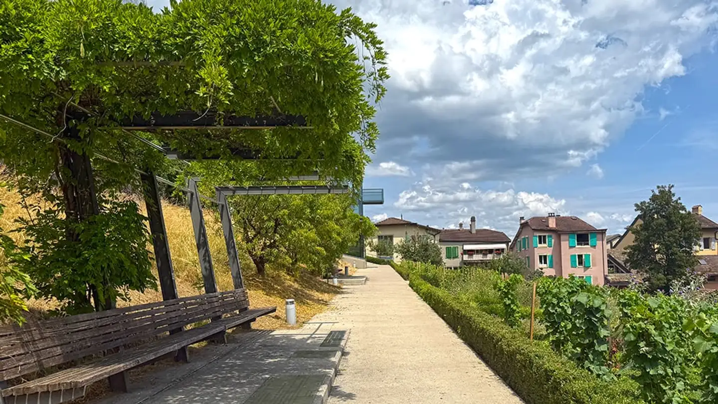 Appartamento in vendita - 1260 Nyon