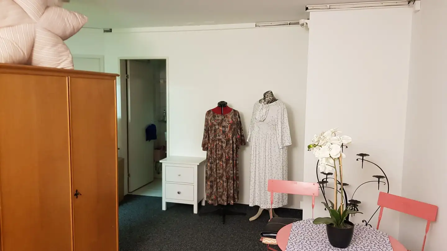 Spazio ufficio in affitto - Bruggerstrasse, 5103 Wildegg - Foto 4