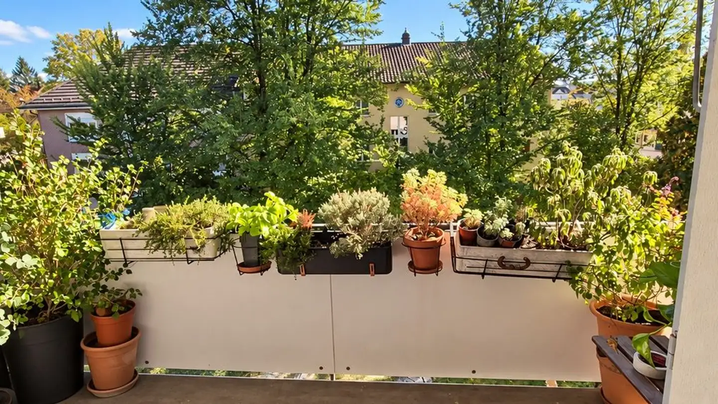 Single room for rent - 8600 Dübendorf - Photo 2