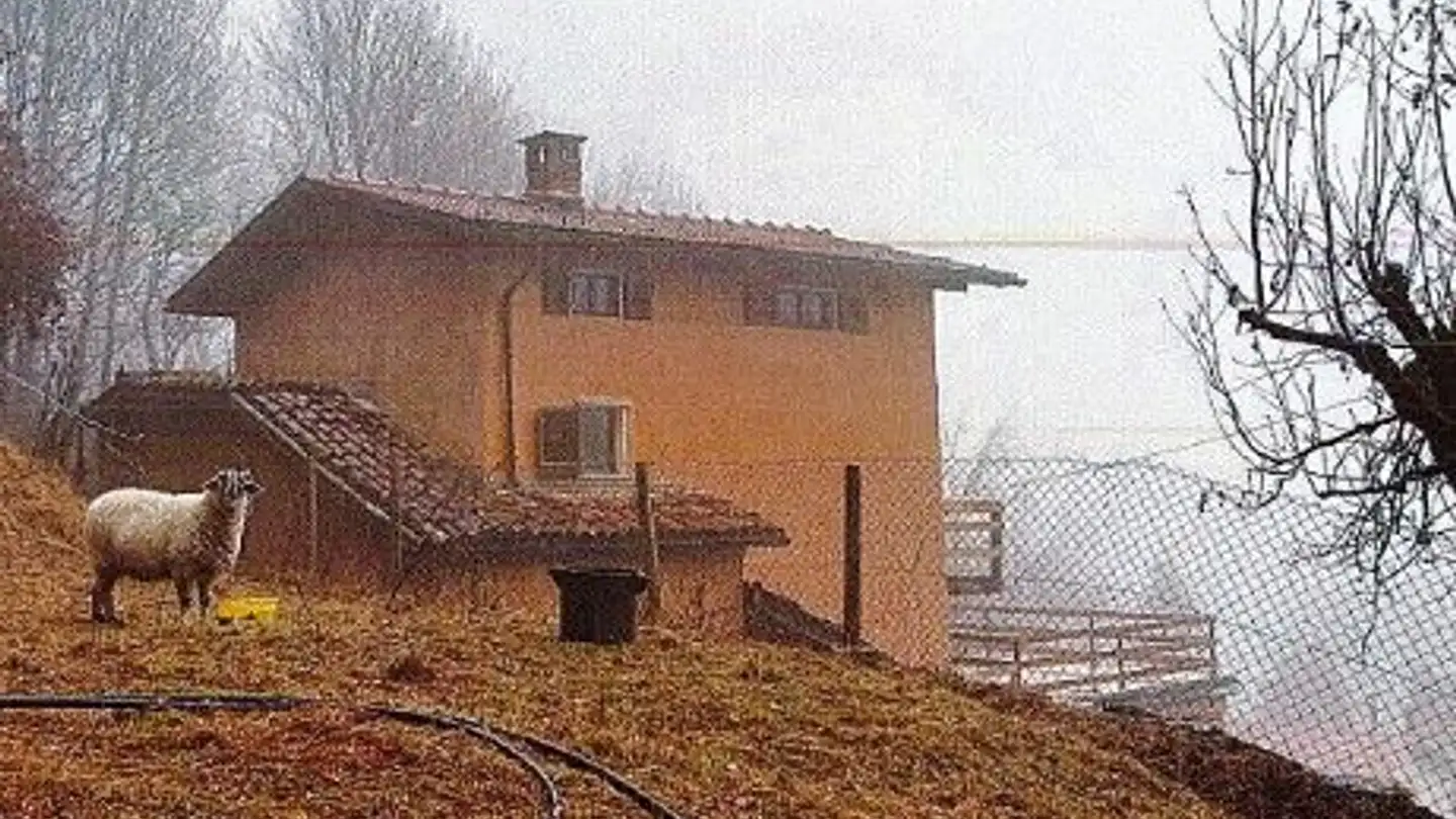 Casa singola in vendita - Ara Gésa, 6958 Corticiasca - Foto 2